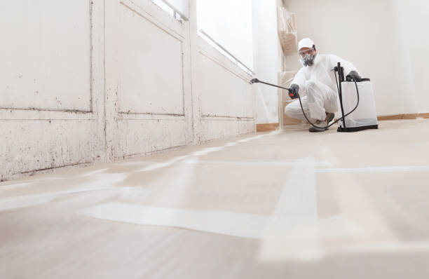 24/7 Emergency Attic Mold Removal experts in Hooversville, PA